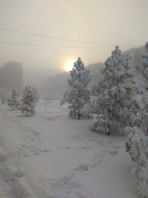 Марина, Россия, Красноярск. Фото на сайте ГдеПапа.Ру