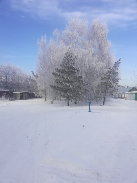 Марина, Россия, Красноярск. Фото на сайте ГдеПапа.Ру