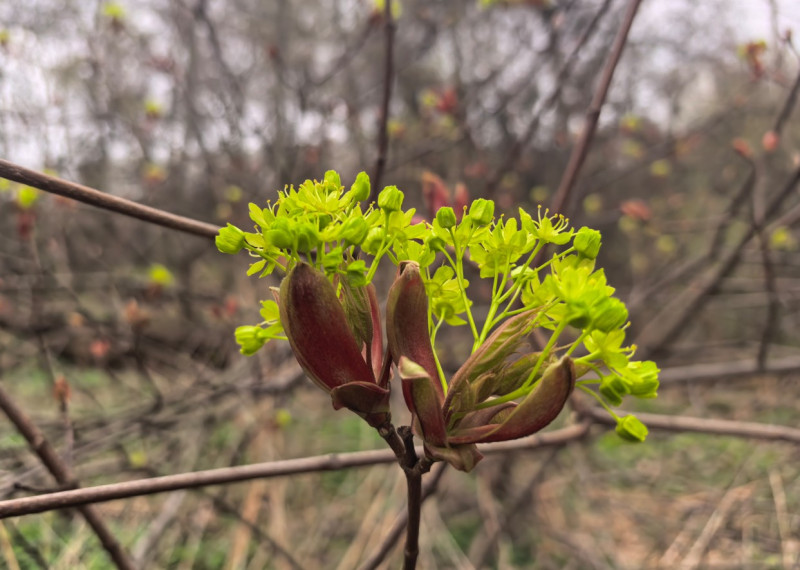 Я романтишный жуть!