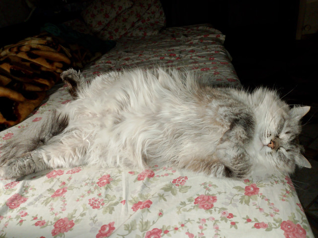 Алёна, Россия, Челябинск. Фото на сайте ГдеПапа.Ру