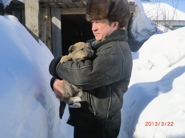 Олег, Россия, Томск, 55 лет, 1 ребенок. Ищу: Симпатичная, стройная, не высокая, без полноты, татуировок и вредных привычек. Для общения, отношения,...  Анкета 869917. 