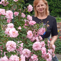 Арина, Россия, Владивосток, 58 лет