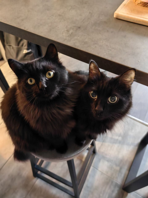 Вика, Россия, Санкт-Петербург. Фото на сайте ГдеПапа.Ру