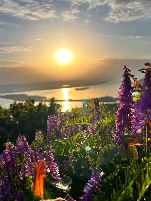 Никита, Россия, Красногорск. Фото на сайте ГдеПапа.Ру