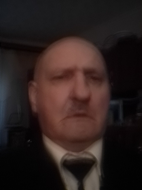 Альберт, Россия, Юрьев-Польский. Фото на сайте ГдеПапа.Ру