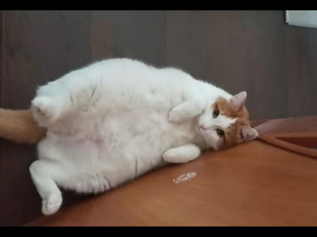 Сергей, Россия, Новосибирск. Фото на сайте ГдеПапа.Ру