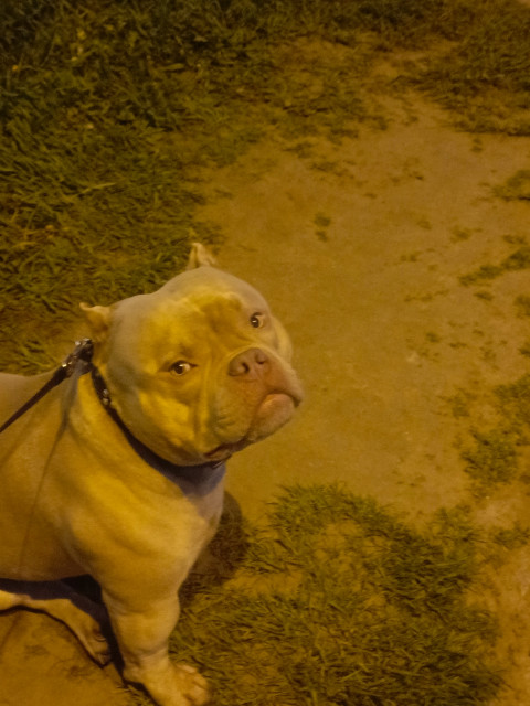 Евгений, Россия, Санкт-Петербург. Фото на сайте ГдеПапа.Ру