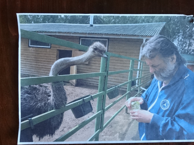 Игорь, Россия, Санкт-Петербург. Фото на сайте ГдеПапа.Ру