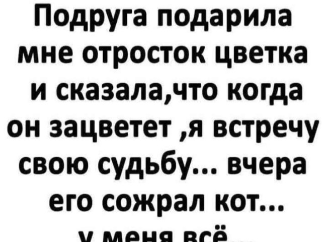 Мари, Нижний Новгород, 37 лет, 1 ребенок. Хочу познакомиться с мужчиной