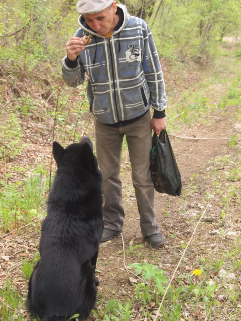Гуляем на природе, попутно собираем папоротник.