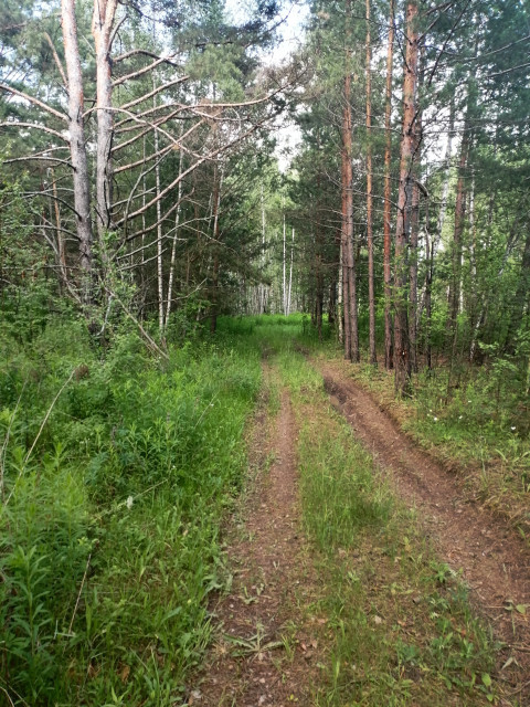 Иван, Россия, Орёл. Фото на сайте ГдеПапа.Ру