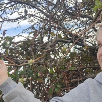 Татьяна, Россия, Севастополь, 50 лет