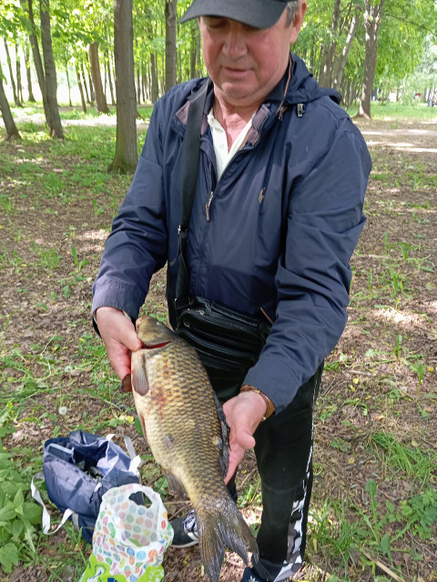 Андрей, Россия, Москва. Фото на сайте ГдеПапа.Ру