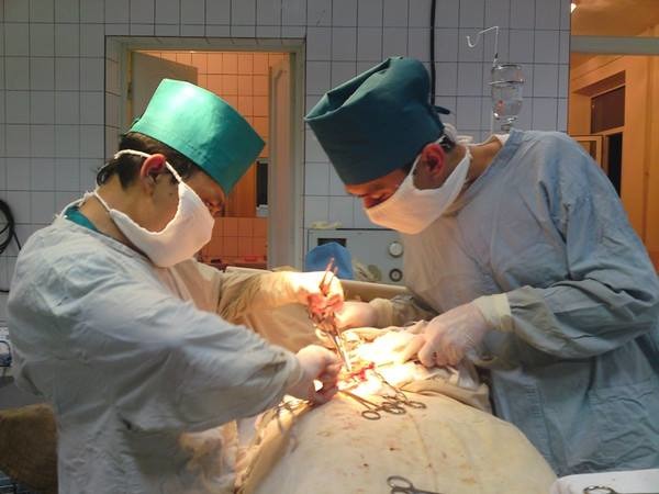 Жахонгир, Узбекистан, Ташкент, 47 лет, 1 фото. Сайт одиноких мам и пап ГдеПапа.Ру