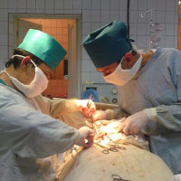 Жахонгир, Узбекистан, Ташкент, 47