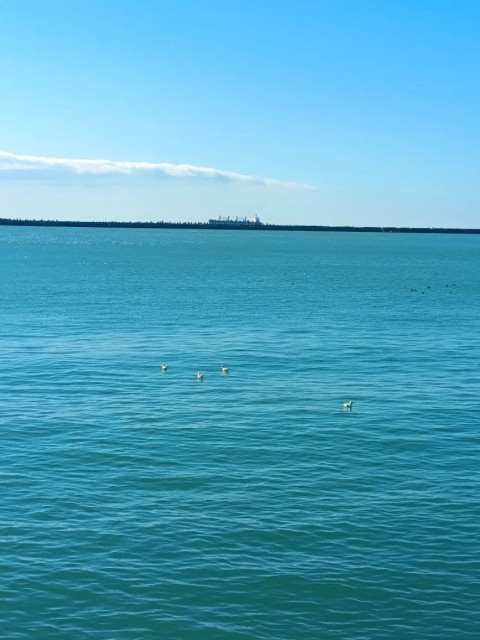 Анна, Россия, Туапсе. Фото на сайте ГдеПапа.Ру