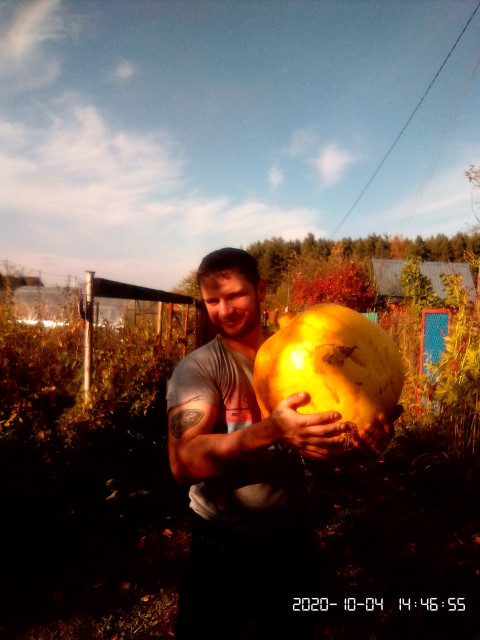 Дмитрий Кондаков, Кимры, 39 лет, 2 фото. Знакомство без регистрации