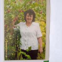 Сария, Россия, Набережные Челны, 65 лет