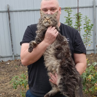 Сергей Драчёв, Россия, Краснодар, 42 года