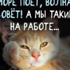 Борис, 41, Россия, Солнечногорск
