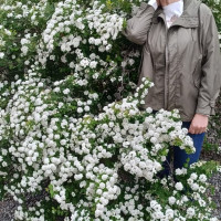 Ирина, Россия, Анапа, 51