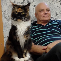 Юрий, Россия, Новоульяновск, 60 лет