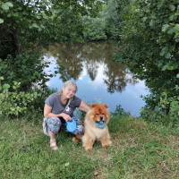 Елена, Россия, Владимир, 54 года