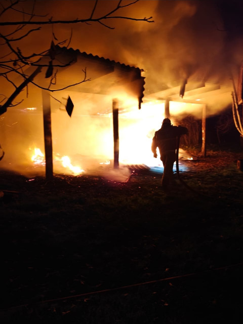 Валера Григорьев, Россия, Краснодар. Фото на сайте ГдеПапа.Ру
