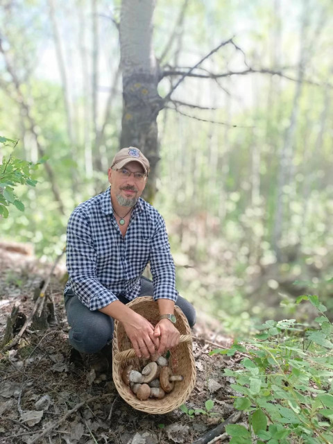 Люблю выбираться по грибы и ягоды