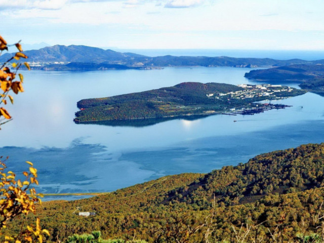 Николай, Москва, м. Ясенево. Фото на сайте ГдеПапа.Ру