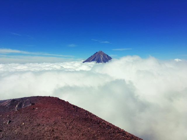 Николай, Москва, м. Ясенево. Фото на сайте ГдеПапа.Ру