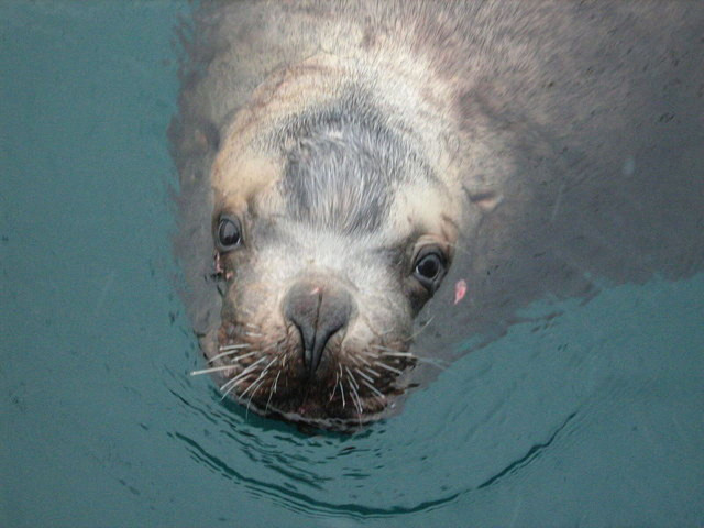 Николай, Москва, м. Ясенево. Фото на сайте ГдеПапа.Ру