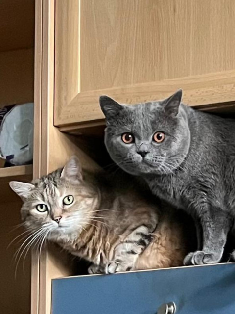 Максим, Россия, Москва. Фото на сайте ГдеПапа.Ру