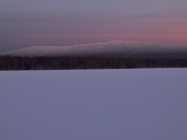 Андрей, Россия, Нижний Тагил. Фото на сайте ГдеПапа.Ру