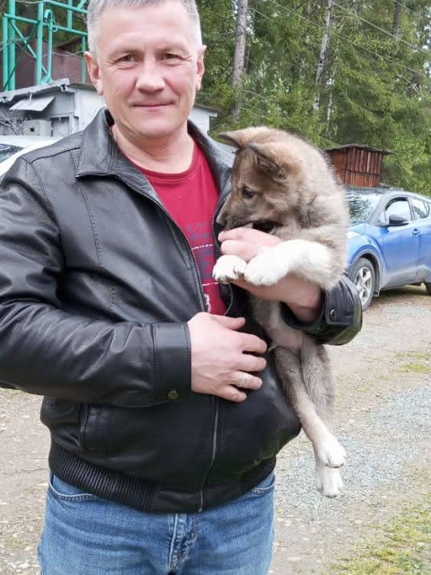 Максим, Россия, Нижний Тагил. Фото на сайте ГдеПапа.Ру