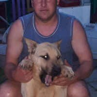 Роман, Россия, Горно-Алтайск, 36 лет