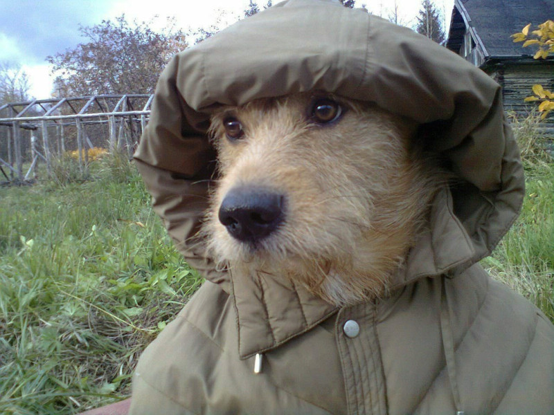 Отопление где?)))