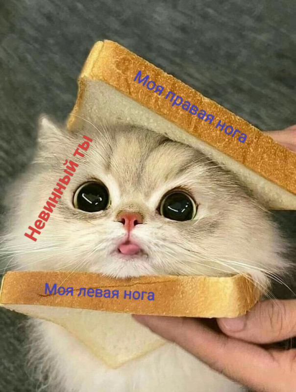 Без пошлятины никак))