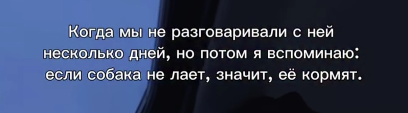 Гавкайте хоть иногда))