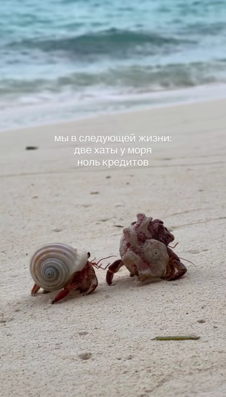 А то что они отжали эти домики у кого-то, история умалчивает))) )))