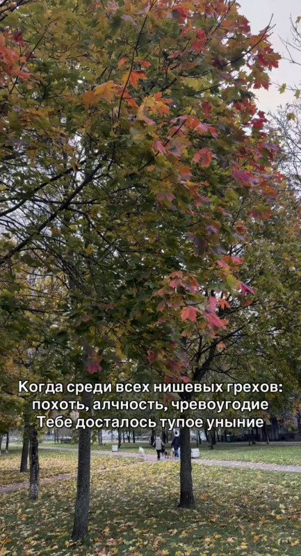 Нафоткали осень?))