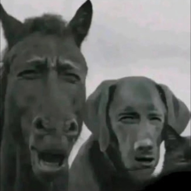 Да нормально там)))