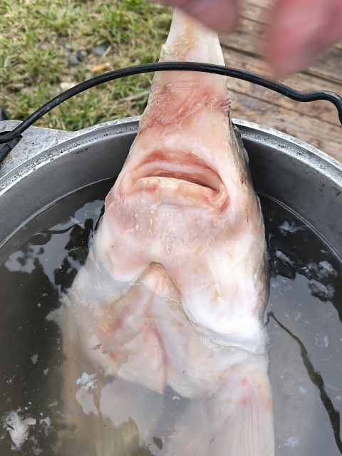 Олег, Россия, Астрахань. Фото на сайте ГдеПапа.Ру