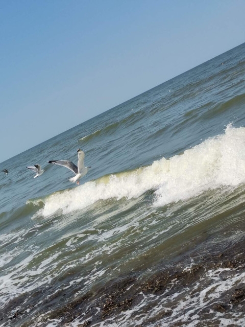 Ирина, Москва, м. Славянский бульвар. Фото на сайте ГдеПапа.Ру