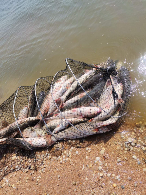 Ирина, Москва, м. Славянский бульвар. Фото на сайте ГдеПапа.Ру
