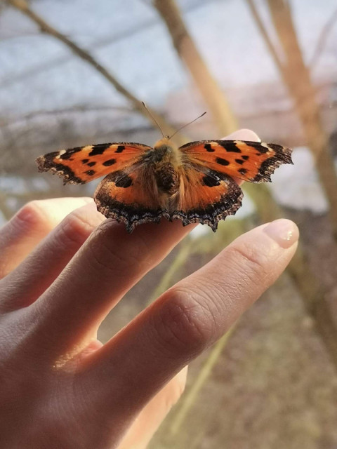 Ирина, Москва, м. Славянский бульвар. Фото на сайте ГдеПапа.Ру