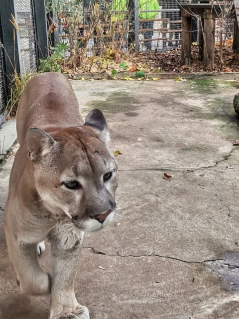 Ирина, Москва, м. Славянский бульвар. Фото на сайте ГдеПапа.Ру