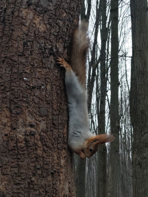 Ирина, Москва, м. Славянский бульвар. Фото на сайте ГдеПапа.Ру
