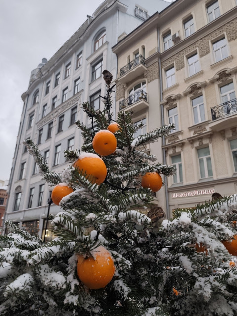 Ирина, Москва, м. Славянский бульвар. Фото на сайте ГдеПапа.Ру