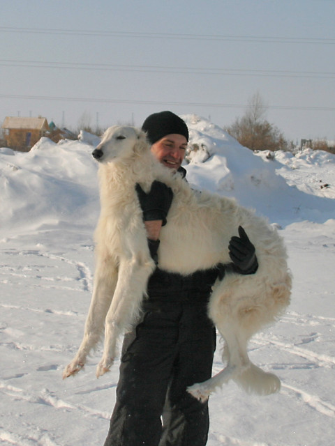 Сергей Немо, Санкт-Петербург, м. Василеостровская. Фото на сайте ГдеПапа.Ру